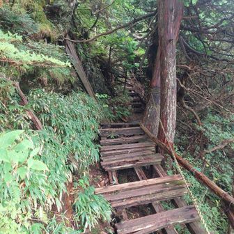 大日山へのルートはかなりのスリリングさ…