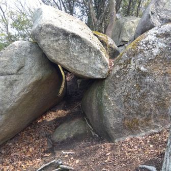 入る人もいるらしいが、泥んこになるので、素通り🏃