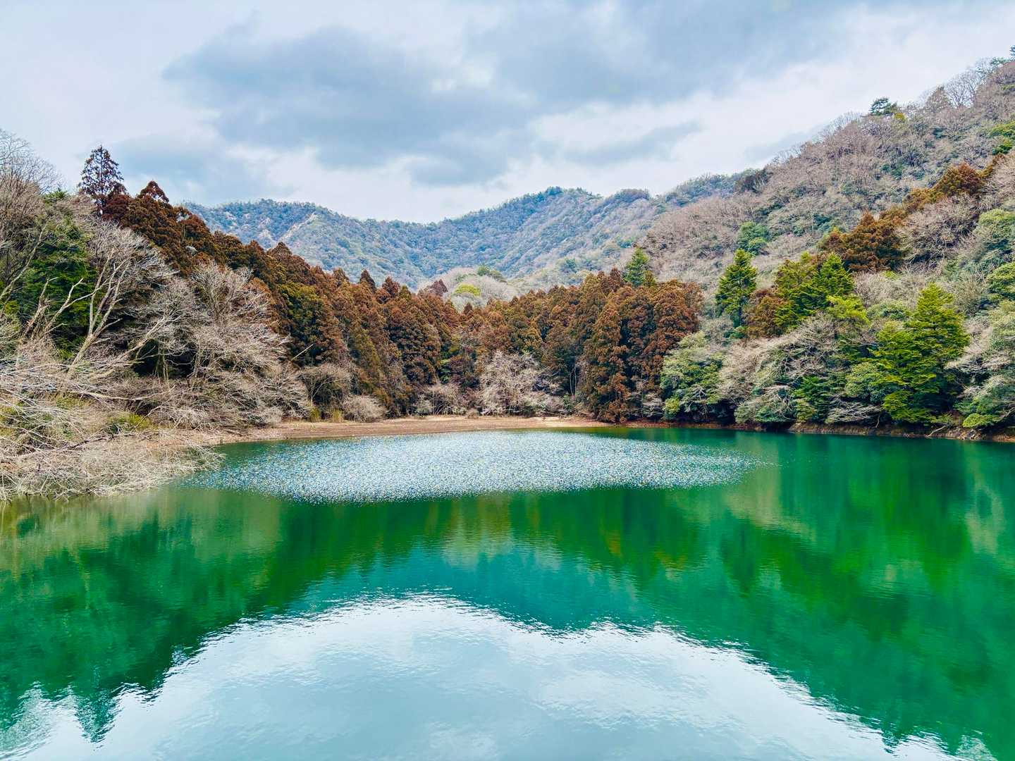 明王池キレイやん📸
水面の色がいい❗️