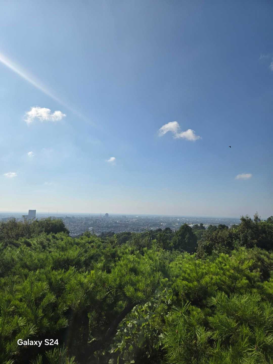 卯辰山 往復コースの写真
