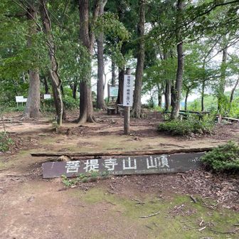 とうちゃこ♪ ひっそりとした山頂⛰️
心地良い風が吹いていました🎐