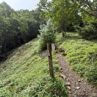 そして石丸峠！ココで牛ノ寝通り迄の稜線もつながった！
それではオマケの天狗棚山に寄ってから帰りましょ！
行ったけど真っ白だったから写真も撮らずに戻って来ちゃったけど…