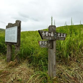帰り水分岐を大正洞の方へ登って行く。