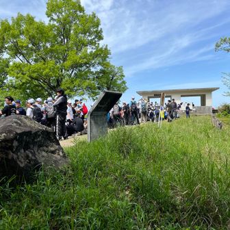枚岡展望台まで帰って来たら突然団体さんが
山の中で珍しく騒がしかった💦
今日もツツジロールの確認だけで下山しましたー
途中まで楽しかったのですが下山の途中で手袋を落としたみたいで戻って探したのですが片方しか何故か見つからず残念な気持ちで活動終了しました　もの無くすのは嫌ですね😓