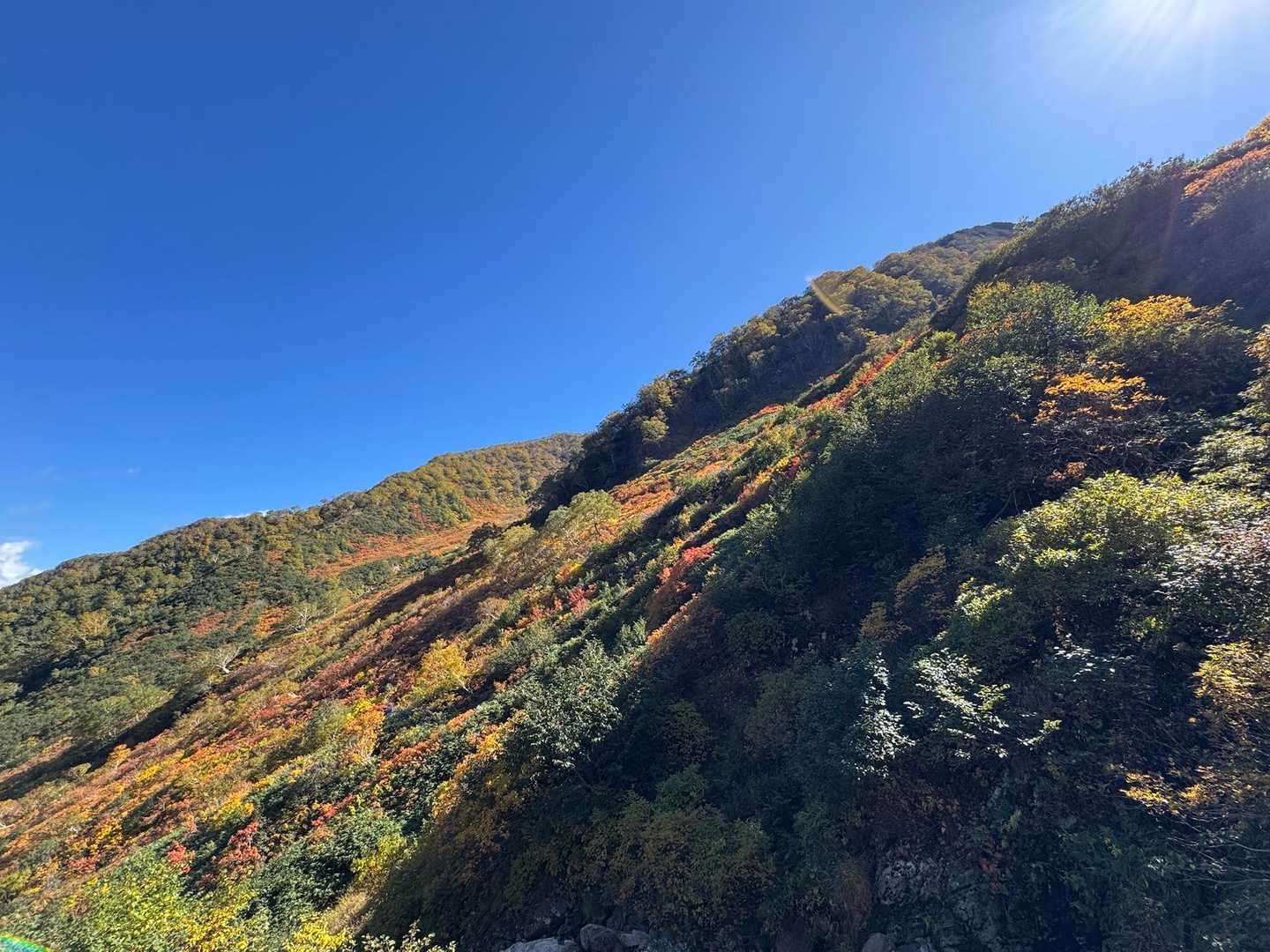 色づく景色と青い空❗️