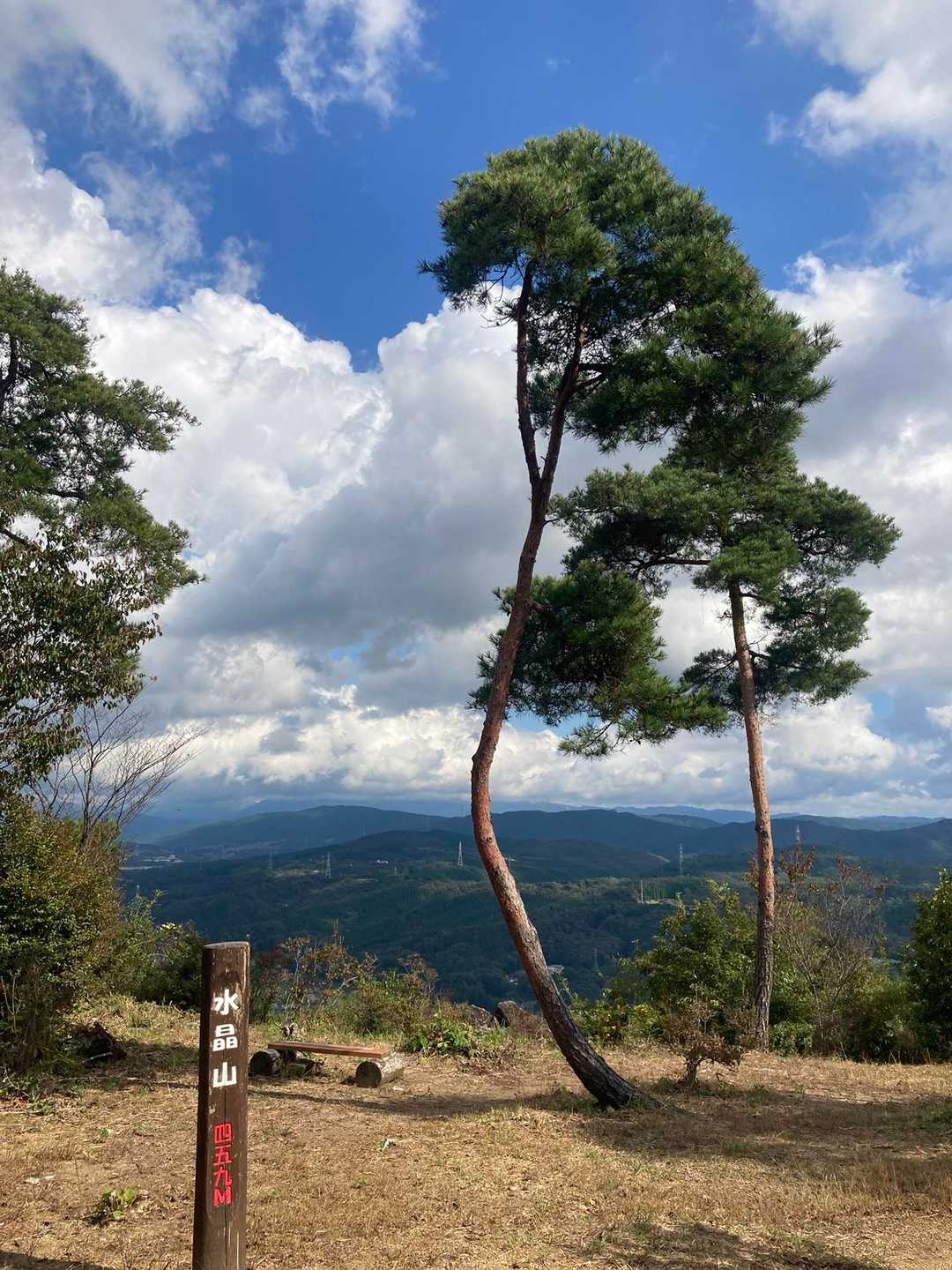 水晶山 往復コースの写真