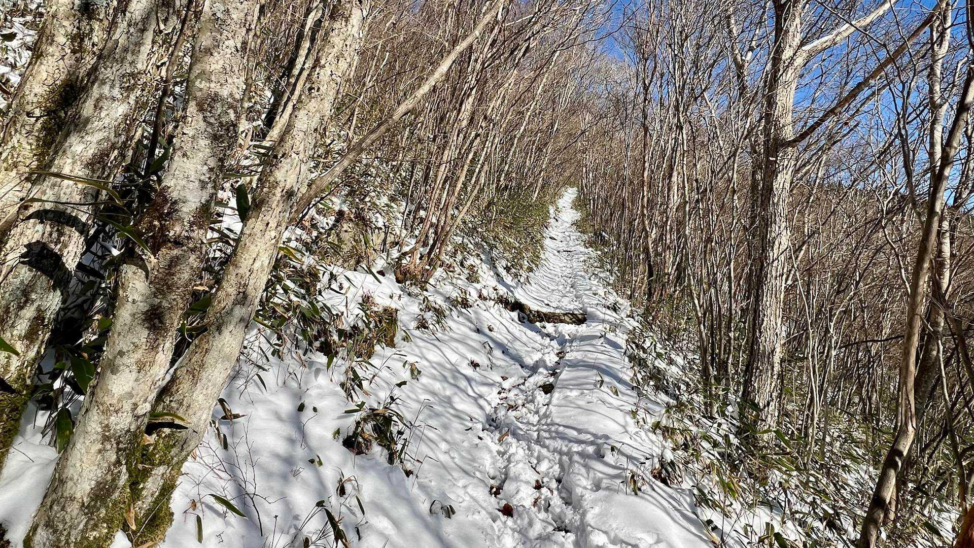 気温はマイナス3度