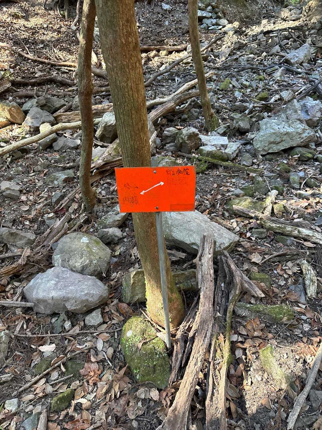 龍仙山 往復コースの写真