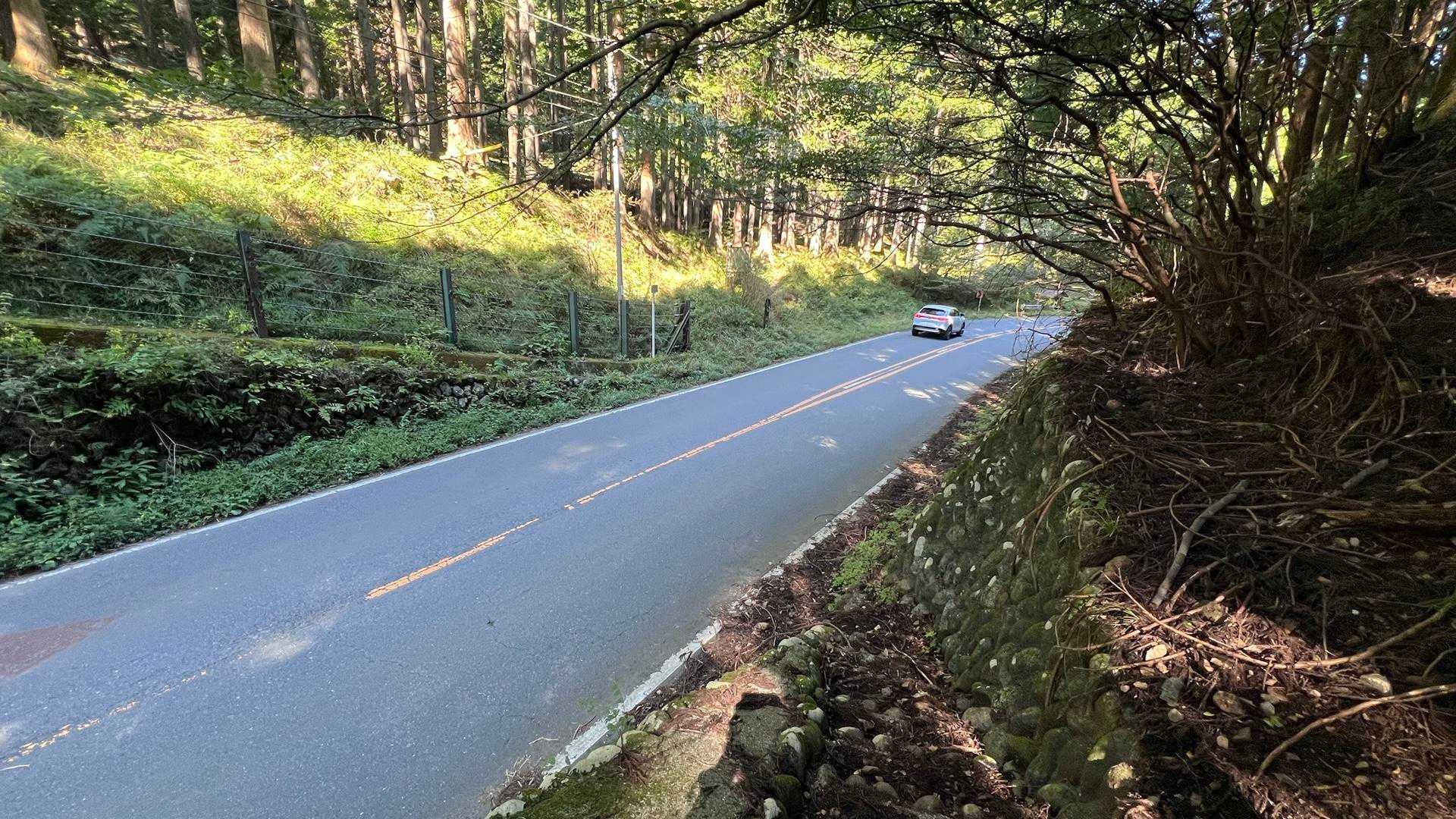 んで埼玉低山あるあるの

いったん舗装路出てから山道に入っていくヤツ