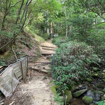 いったん王道ルートに合流