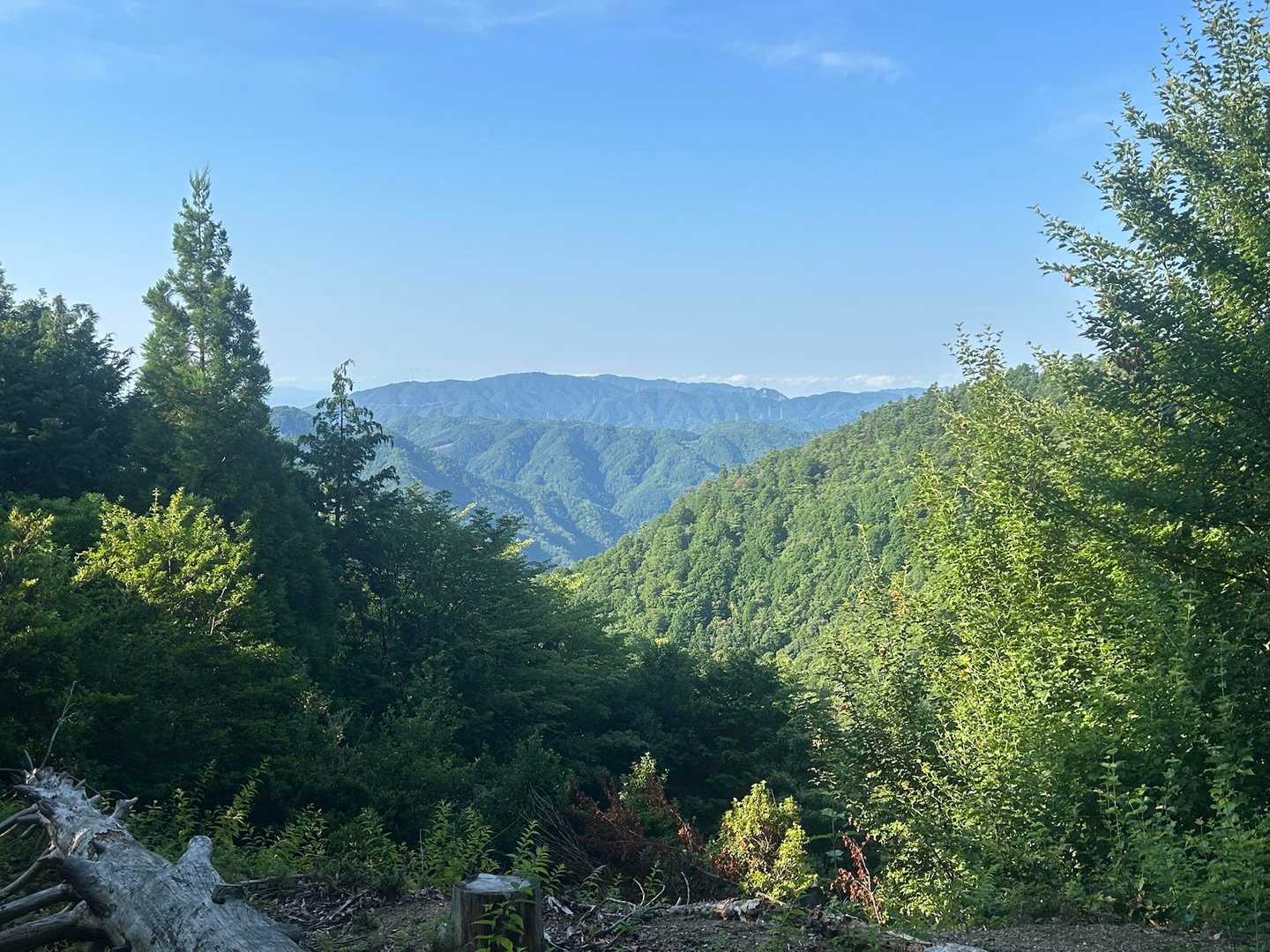 大暑山　小塩山　ポンポン山の西山の峰
この時間ハイカーはいません
勿論　下ってこられる方も
