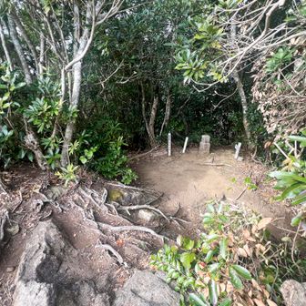 矢筈岳山頂着。