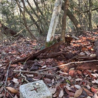 三角点ありました
山名プレートあるけど読めません。
宇田山？
