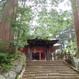 東照社（徳川家康を祭っている）
この右わき辺りが、地図上の山頂のようだった