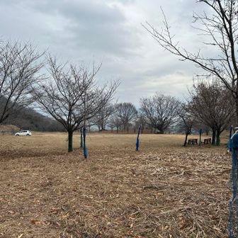 駐車場🅿️到着。スライドした方の車は無くなって、私ののみ。