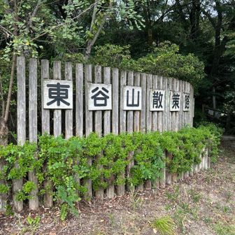 行きは山道　帰りは遊歩道で帰ってきました
