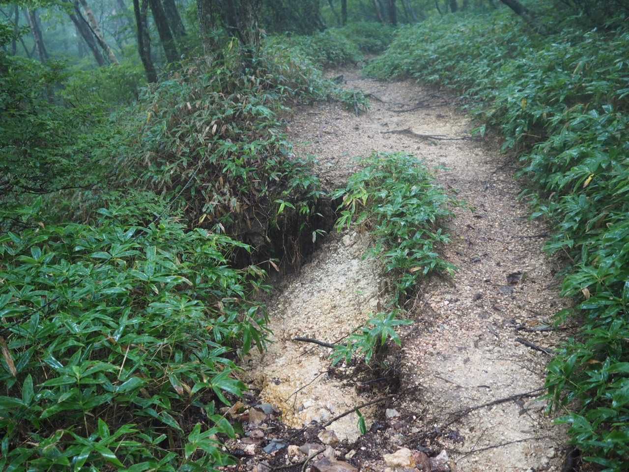 道崩れてます　ん？

あ〜・・あなた取り憑かれちゃいましたね〜