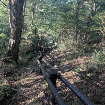 ここかなり怖かった。手摺ないと下まで落ちる。