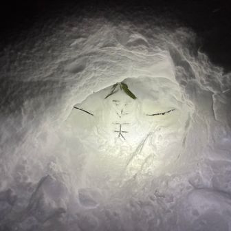 天がいました🤭