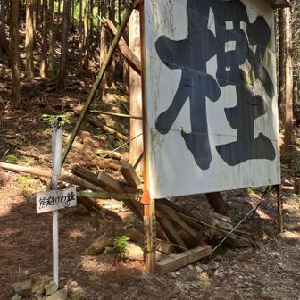 熊避けちゃんと鳴らしとこ🔔
(近くで最近熊🐻️出てるしね😅)
白樫城の看板🪧でっかい🤣