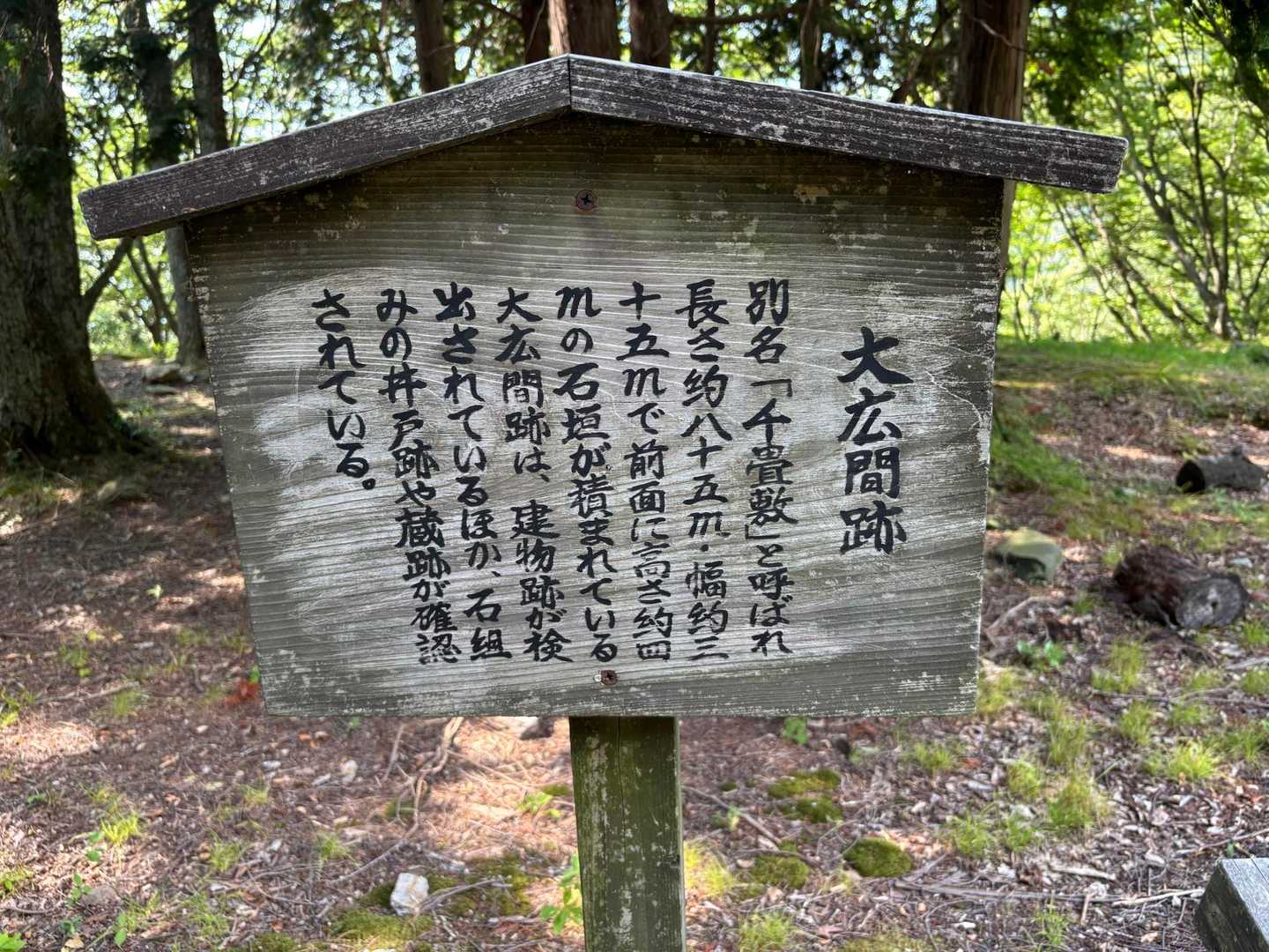 凄い広間があったんですね