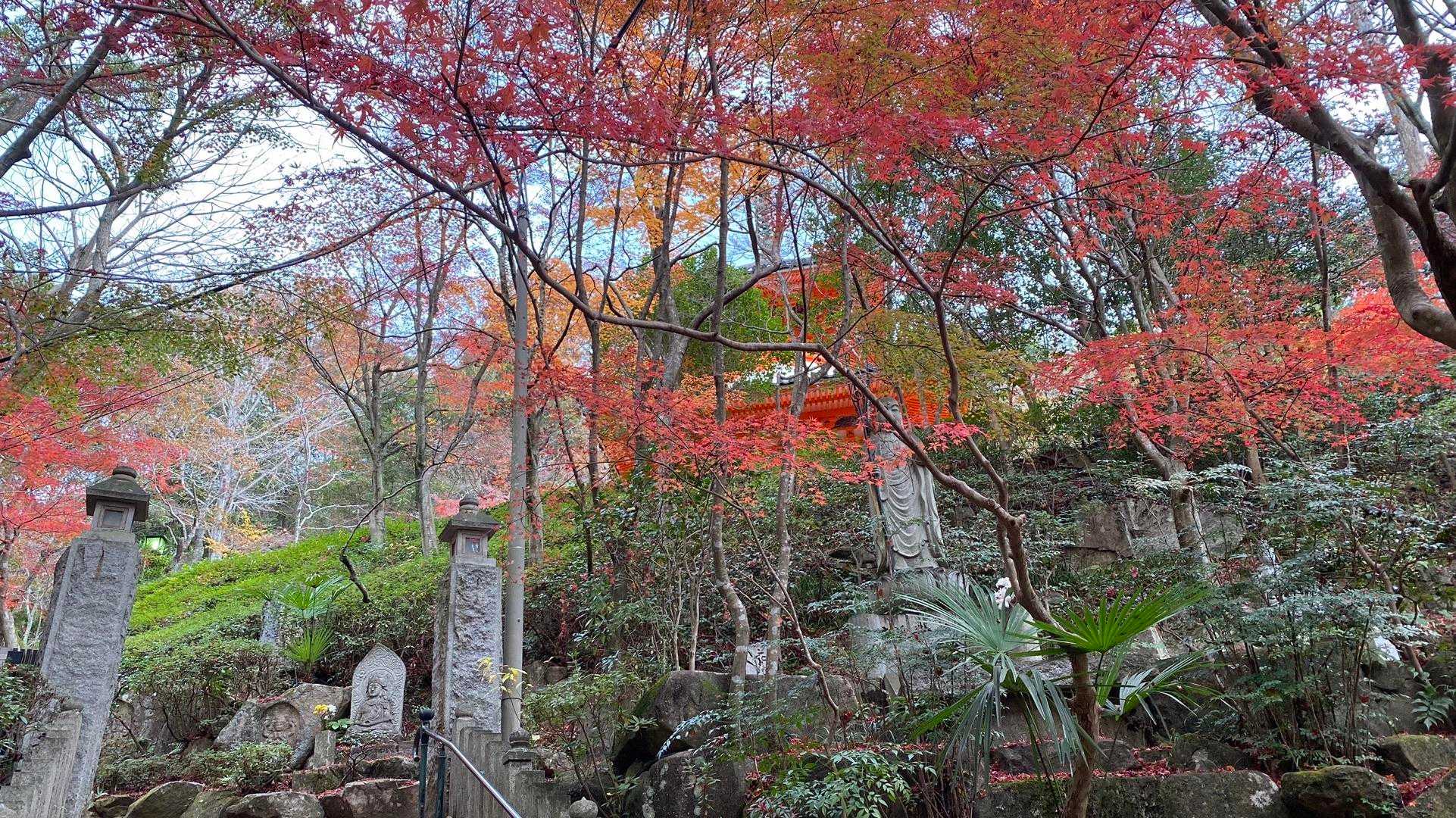 広島市街と瀬戸内海の絶景を楽しむ宗箇山の写真