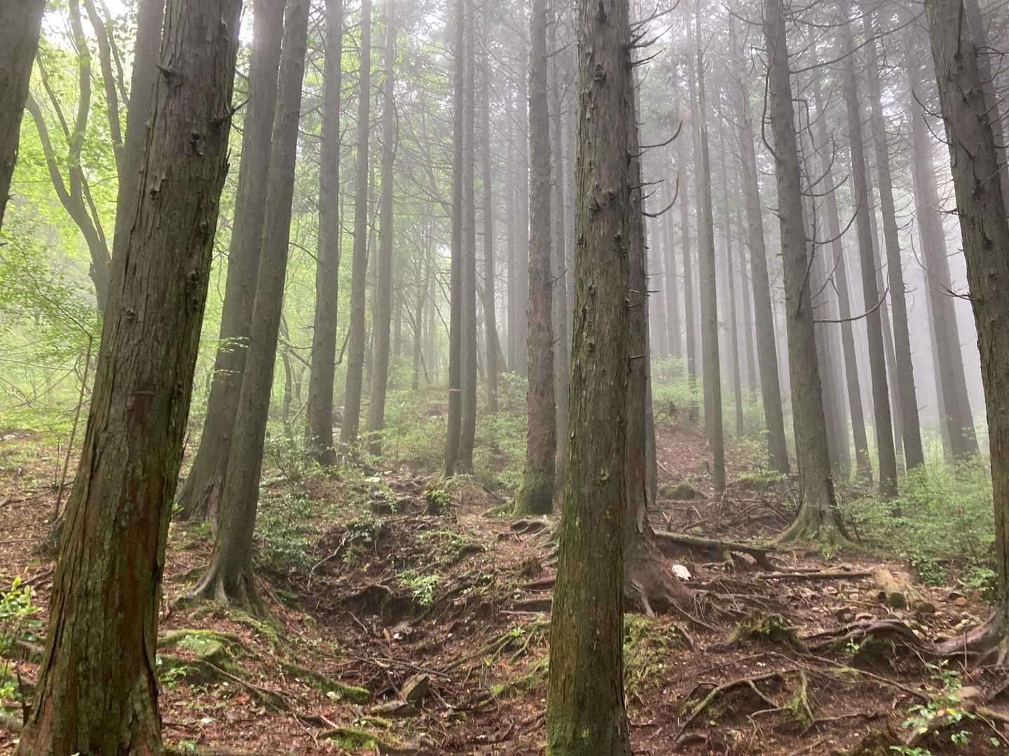 幻想的って言わせて下さい🙏