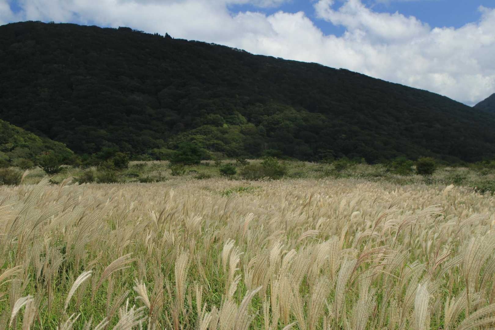 吾妻山登山口-吾妻山 周回コースの写真