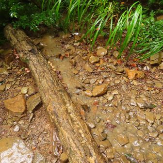 もっと水流が多いとどうなるか？