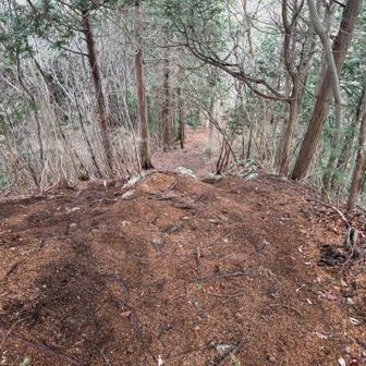 一度分岐まで戻ってから先に進みます⛰️