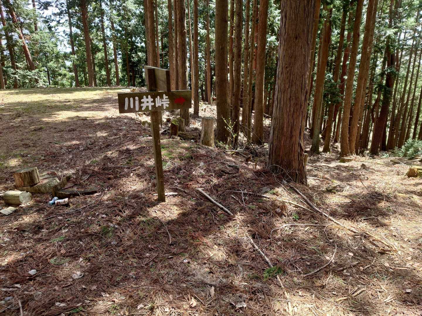 天行山-東宮山 周回コースの写真
