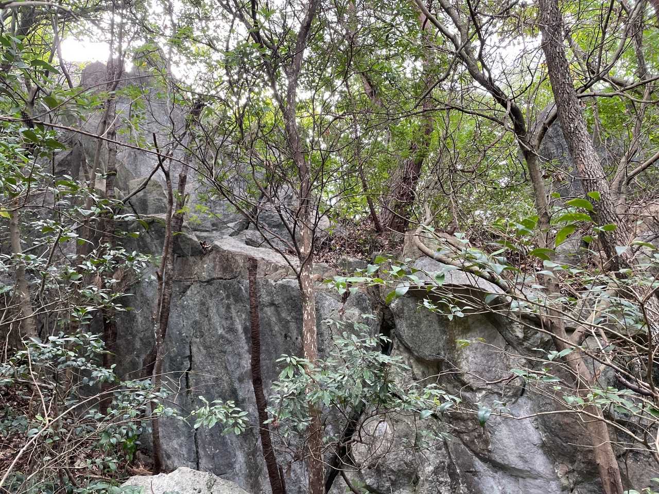 コレが『磁石山』
山頂標識も無く‥🪨があるだけ
ガッカリ😮‍💨