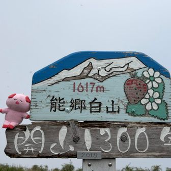 アップ