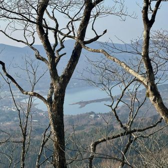 途中、山中湖の平野の浜、交流プラザ辺り(左岸)が見下ろせました。先端が分岐した砂嘴(さし)がよくわかります…そしてさらに進むと…
