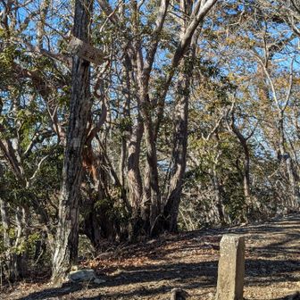 偉主山
前回は時間読み違えてこの辺で日没サスペンデッド