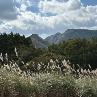 古光山とススキ。