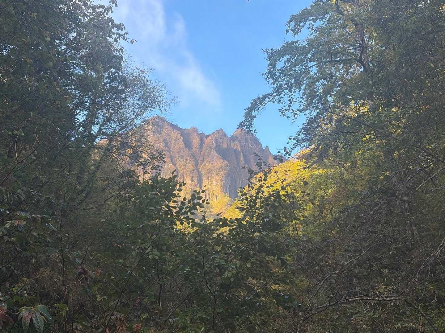 雄鉾岳 往復コースの写真