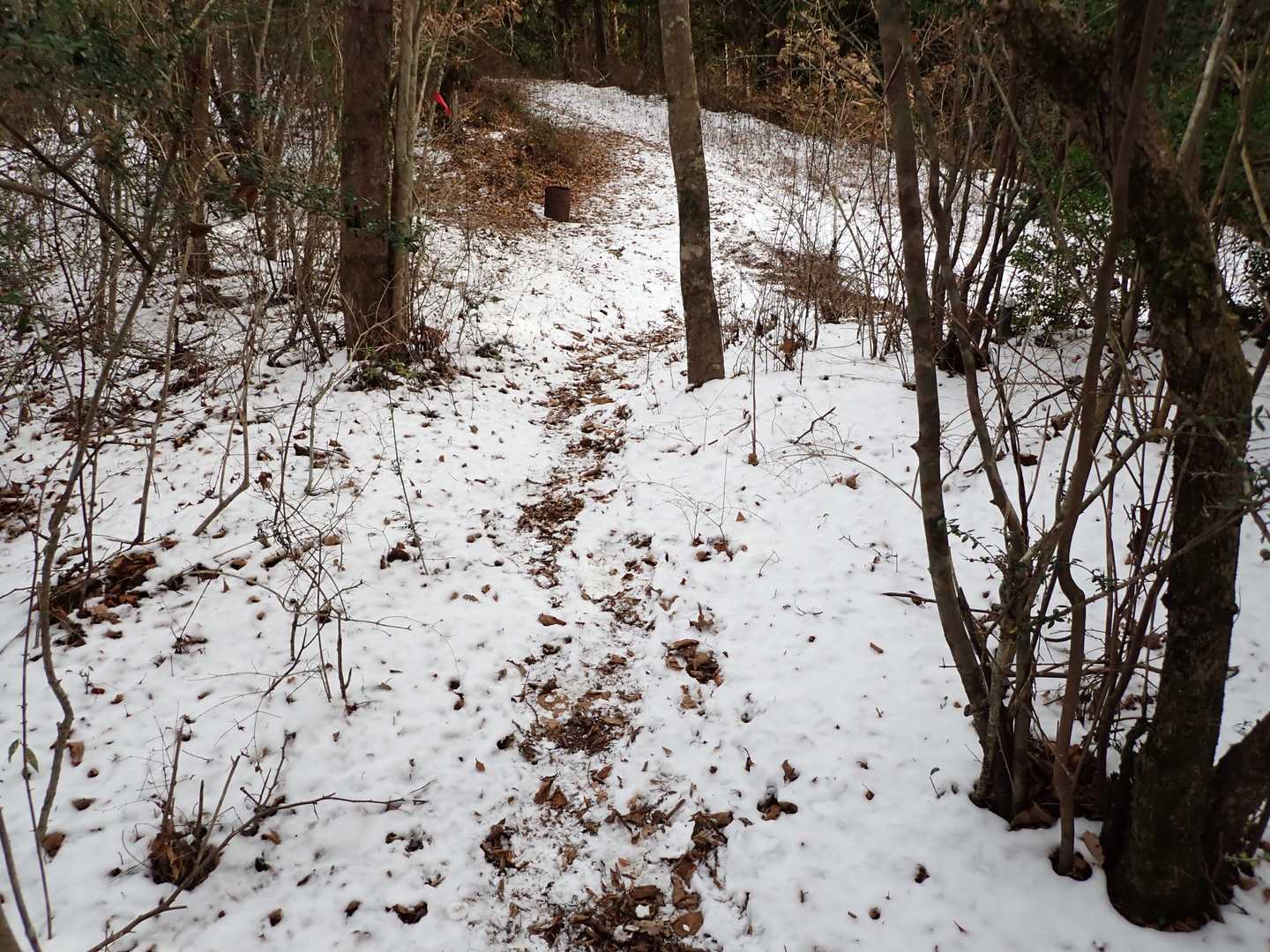 北側は残雪