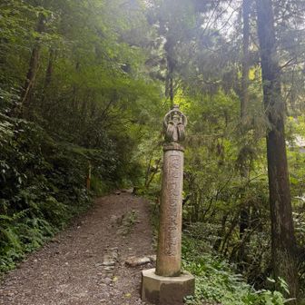調べたら2年ぶりだった6号路w
普段は早朝来るのでクモの巣が嫌で避けてたんですよねぇw