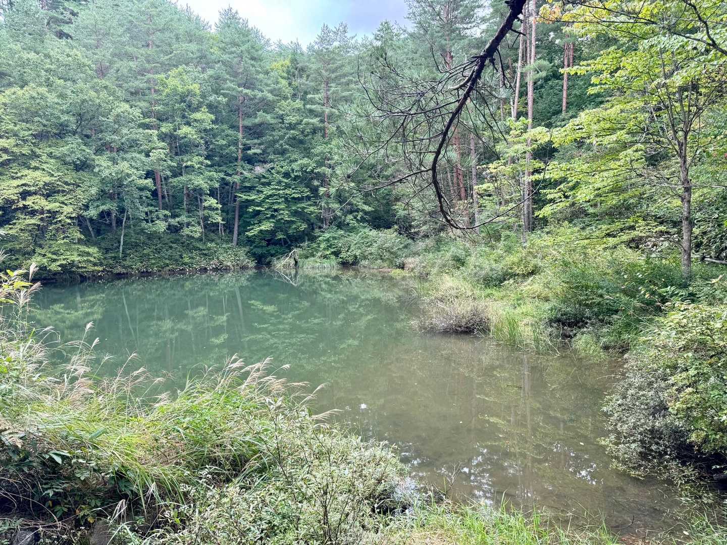 ため池