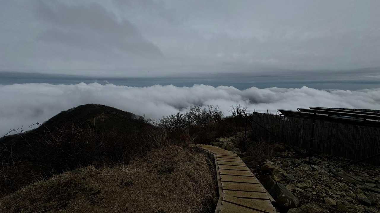 鍋割山・塔ノ岳・烏尾山縦走 の写真 33