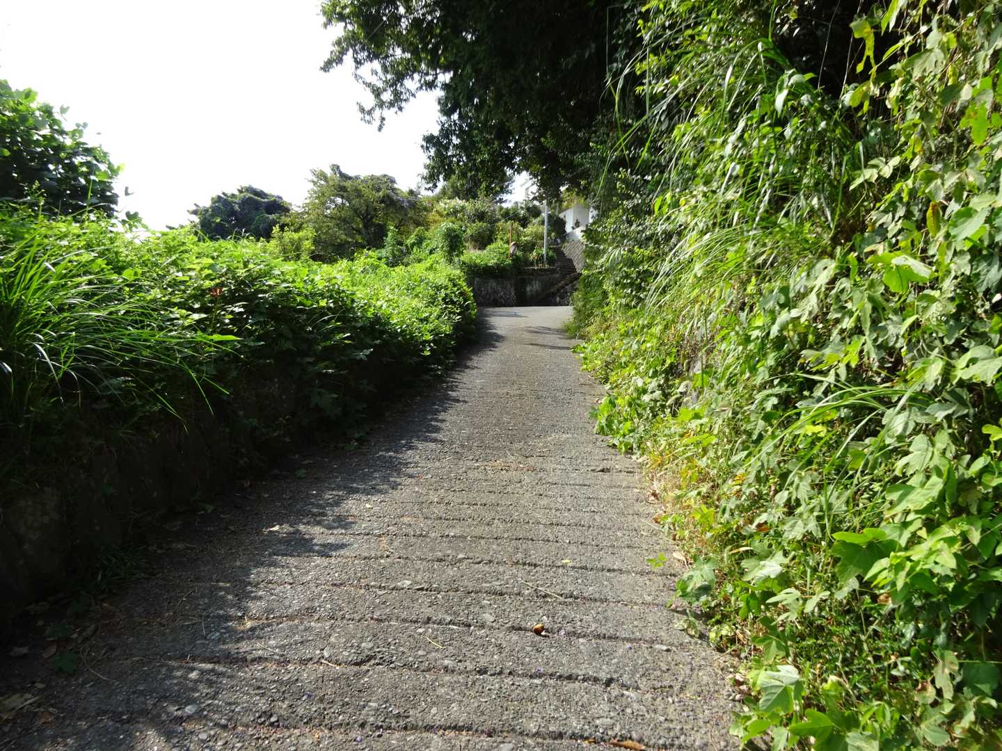 登る
