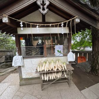 侍乳山

大根が無料配布と事前情報で知ってたけどマジで無料配布してた

重いのでスルー