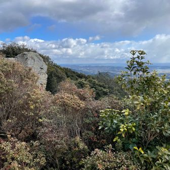もぉ何山か分からない( ᐙ )？