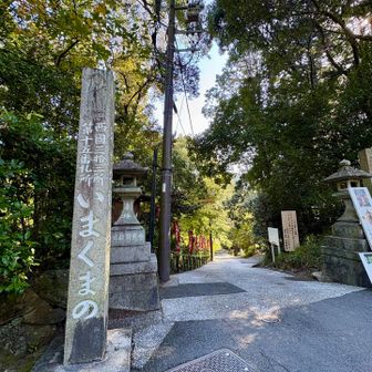 西国三十三箇所
第十五番 今熊野観音寺 