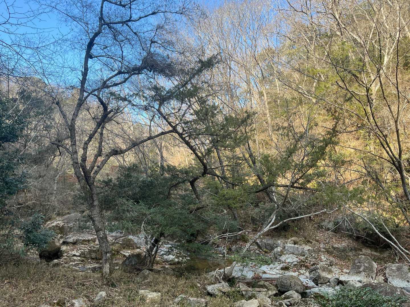 随願寺-増位山-弥高山-廣峯神社 周回コースの写真