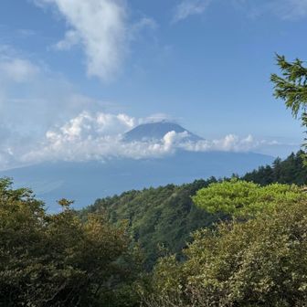 この時はかろうじて富士山