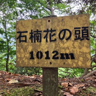 眺望なし