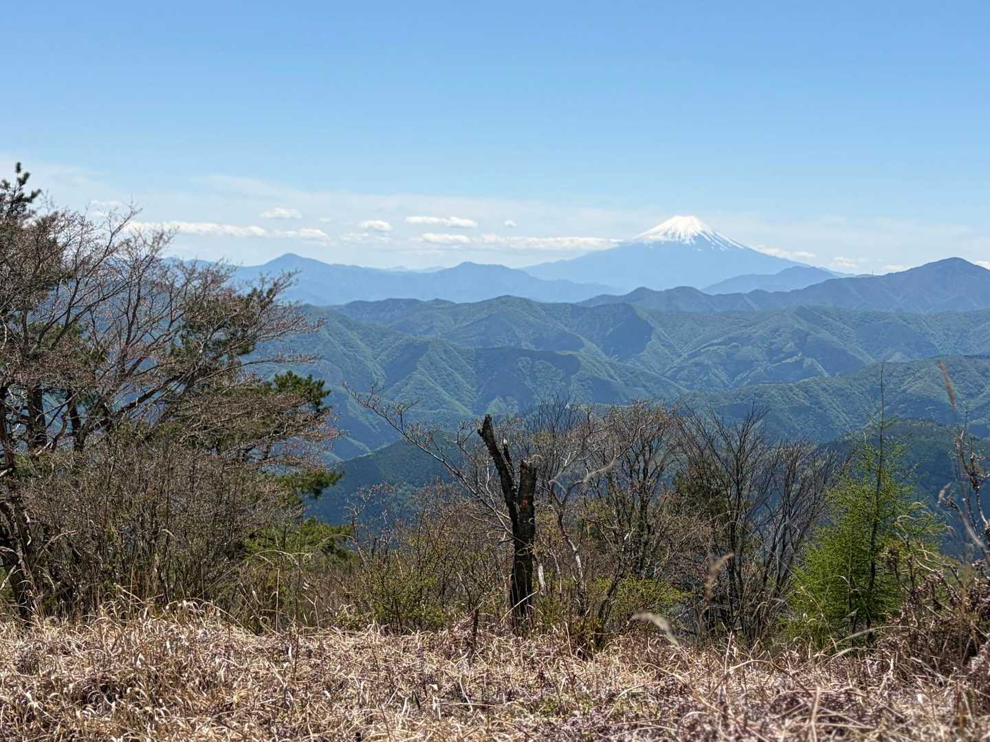 鷹ノ巣山から少し下ったところにも、富士山ビュースポットがあります