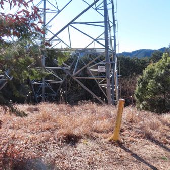 大平山山頂の様子
鉄塔が建っていて開けていました。
ここに地元の猟師さんがいて、熊がいないか巡回されているそうです。ありがたいことです。熊・猪・鹿などに役立つ知恵を沢山教えてくださいました。ありがとうございました！  それから、ライフル銃を肩にかけた猟師さん、かっこよかったです👍